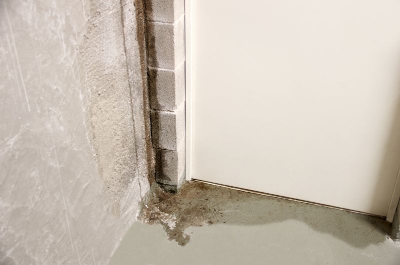 Leaking Basement Repair in Grand Rapids, MI